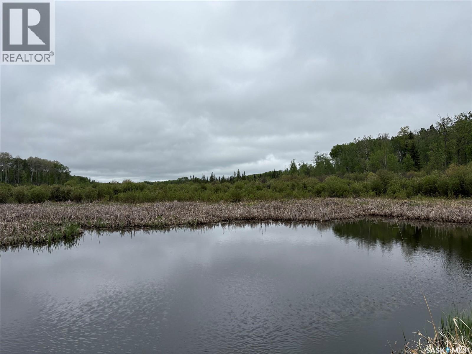 Rec Land Rockford 18.13 Acres, Hazel Dell Rm No. 335, Saskatchewan  S0A 0W0 - Photo 2 - SK040931