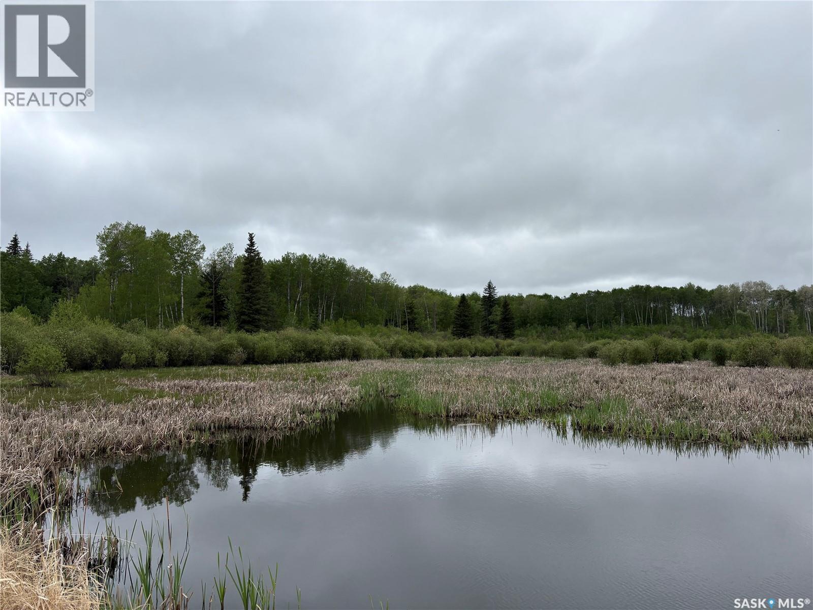 Rec Land Rockford 18.13 Acres, Hazel Dell Rm No. 335, Saskatchewan  S0A 0W0 - Photo 4 - SK040931