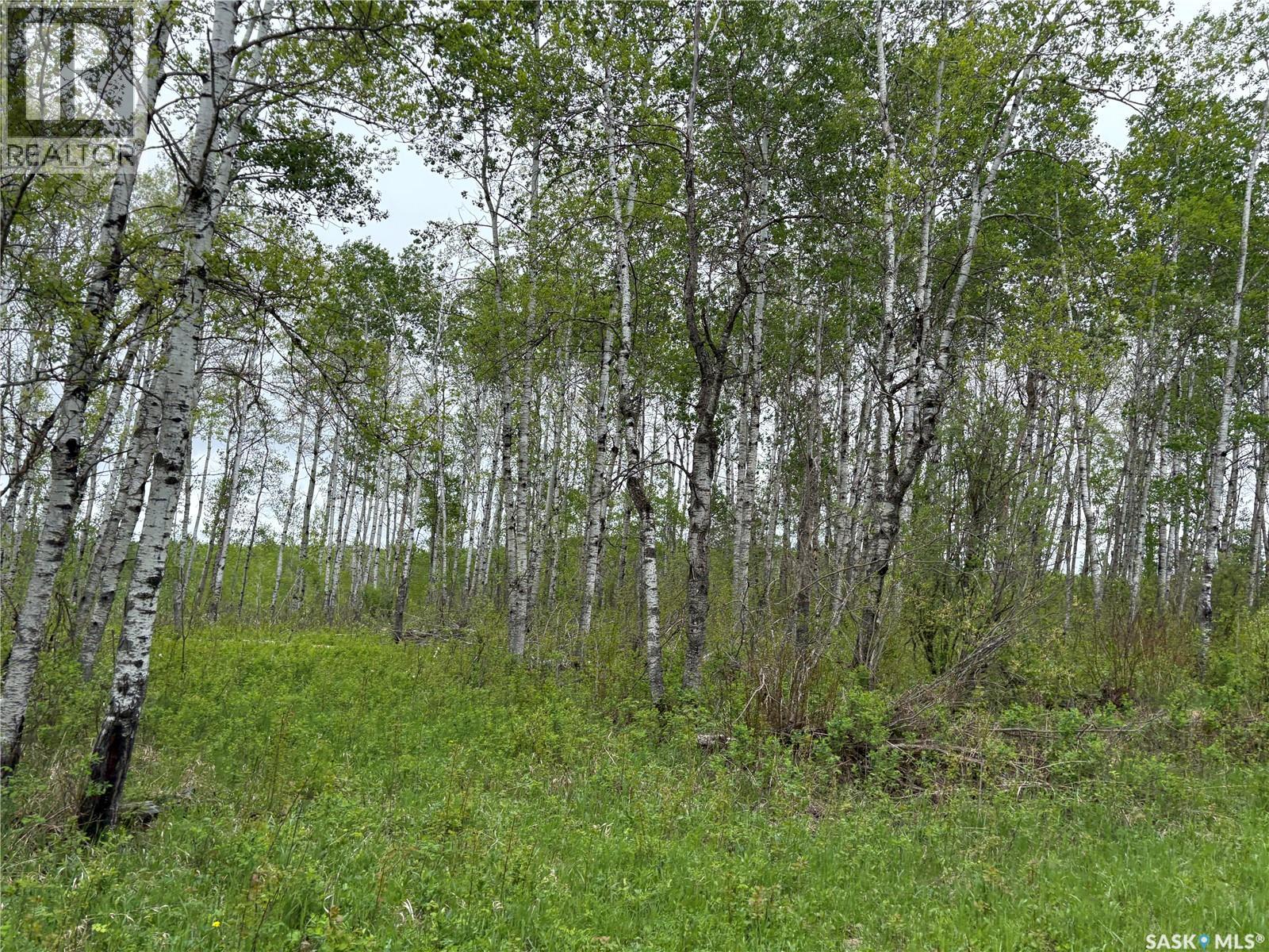 Rec Land Rockford 18.13 Acres, Hazel Dell Rm No. 335, Saskatchewan  S0A 0W0 - Photo 5 - SK040931