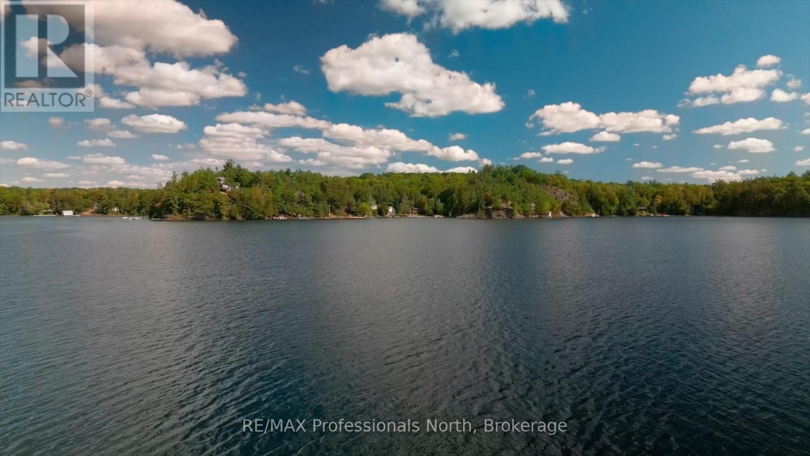 1272 Grierson Trail, Minden Hills, Ontario  K0M 2K0 - Photo 43 - X13498816