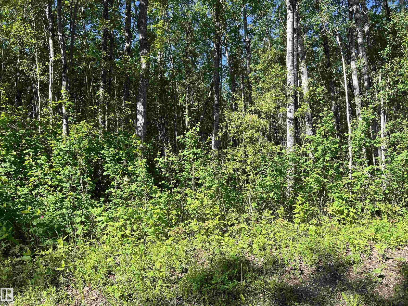Township Rd 654 Lac La Biche County, Rural Lac La Biche County, Alberta  T0A 0R0 - Photo 18 - E4496167