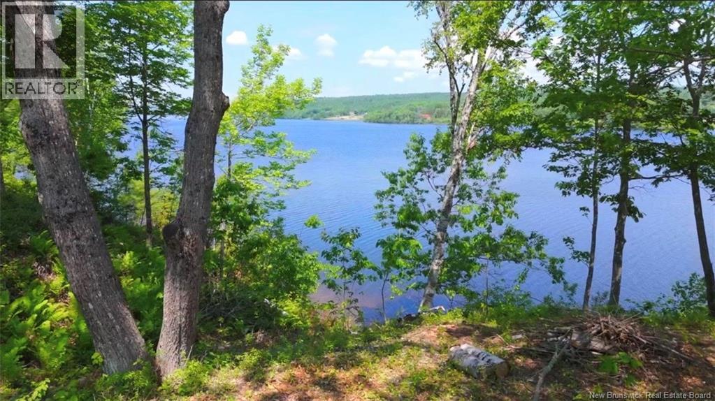 House And Lot Temple Road, Ritchie, New Brunswick  E6H 1H4 - Photo 34 - NB138415
