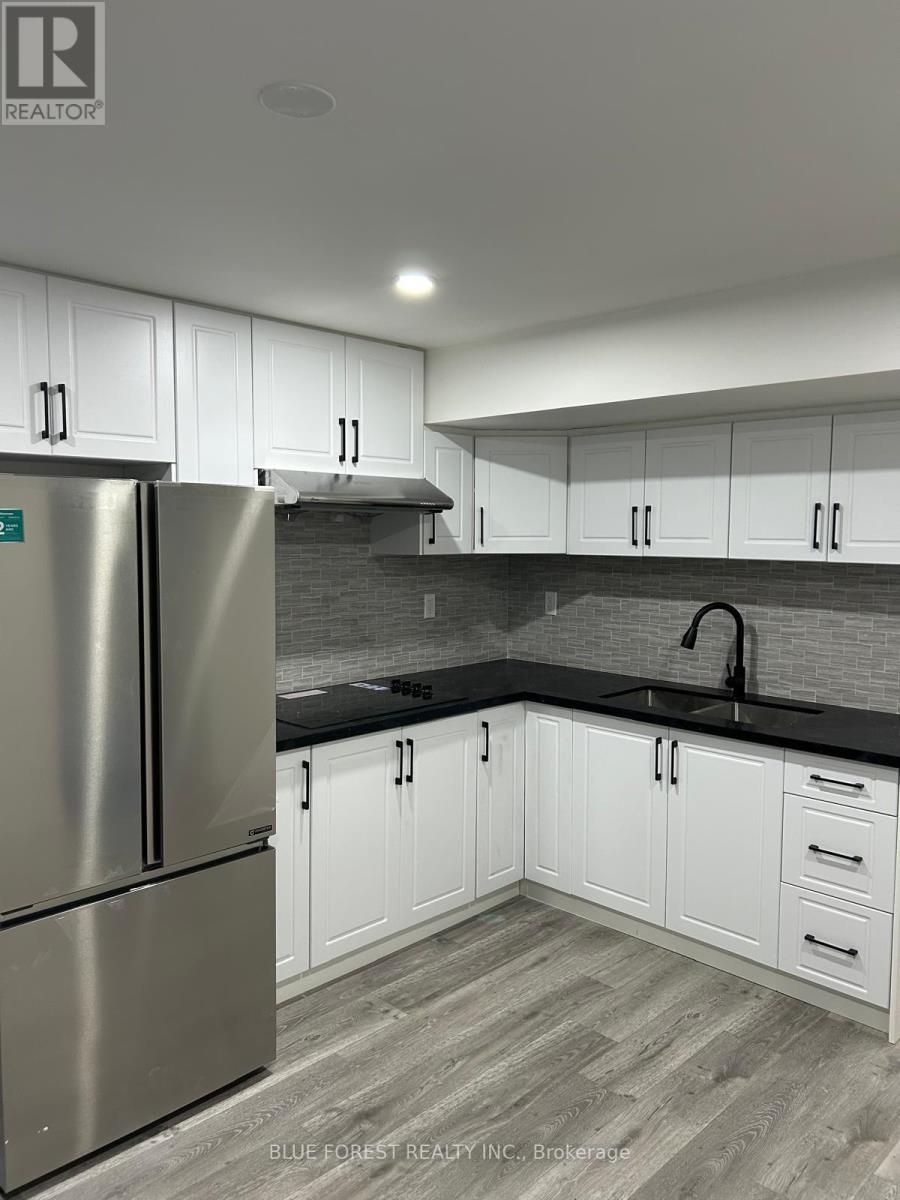Unit A (Basement) - 167 Forfar Avenue, Kitchener, Ontario  N2B 2Z9 - Photo 4 - X13498892
