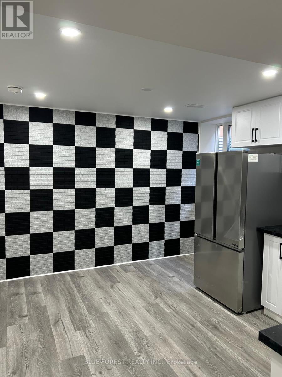 Unit A (Basement) - 167 Forfar Avenue, Kitchener, Ontario  N2B 2Z9 - Photo 5 - X13498892