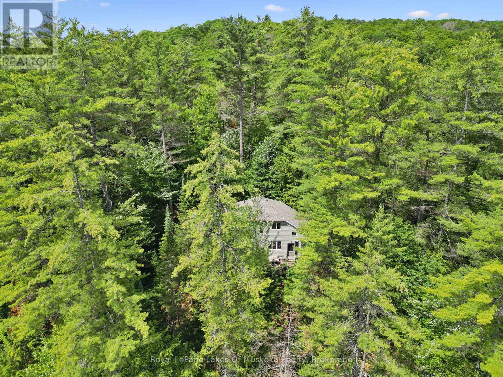 1117 Craftsman Drive, Algonquin Highlands (Sherborne), Ontario  P0A 1E0 - Photo 4 - X13498950