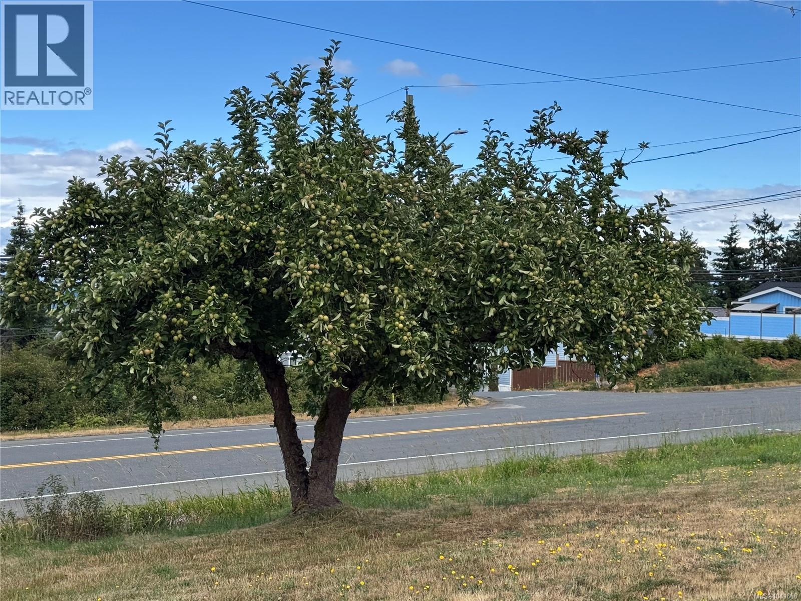 Lot A Ross Ave, Royston, British Columbia  V0R 2V0 - Photo 13 - 1041666