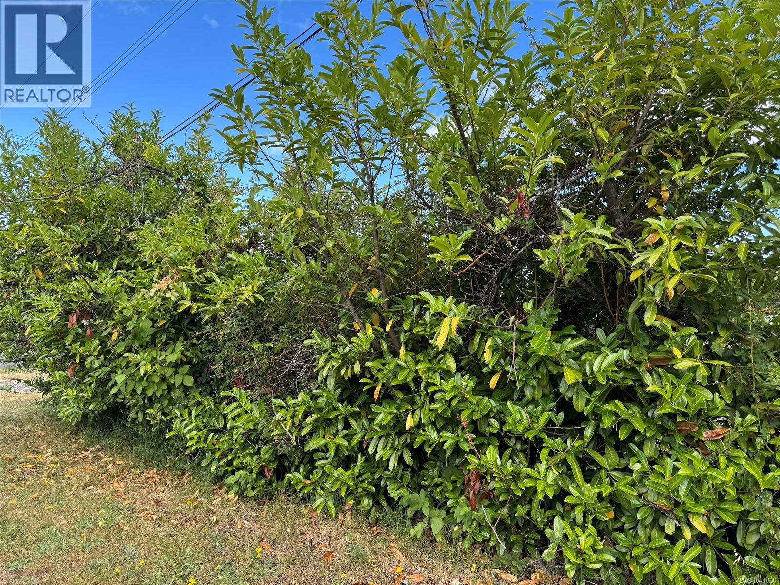 Lot A Ross Ave, Royston, British Columbia  V0R 2V0 - Photo 16 - 1041666