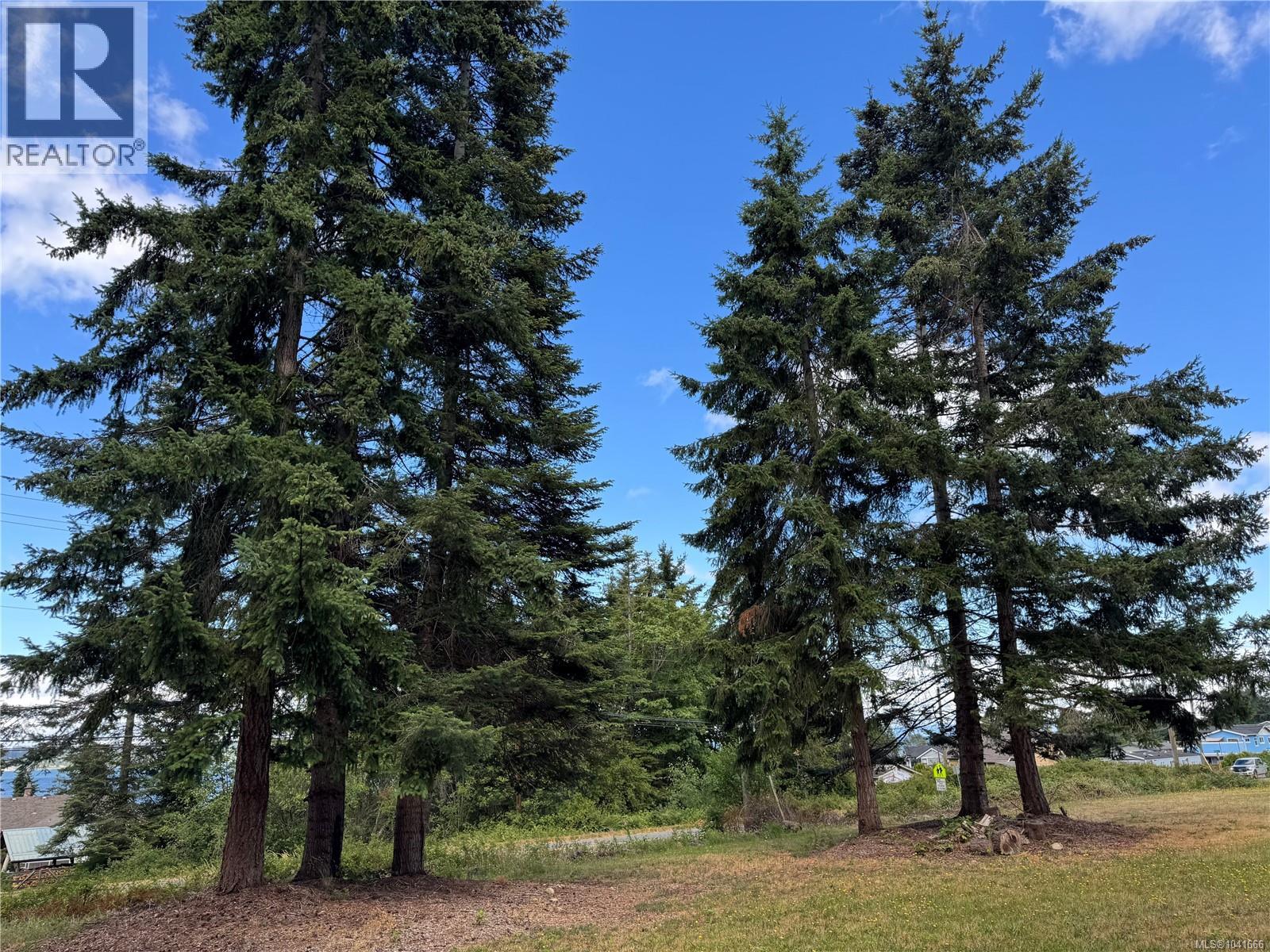 Lot A Ross Ave, Royston, British Columbia  V0R 2V0 - Photo 7 - 1041666