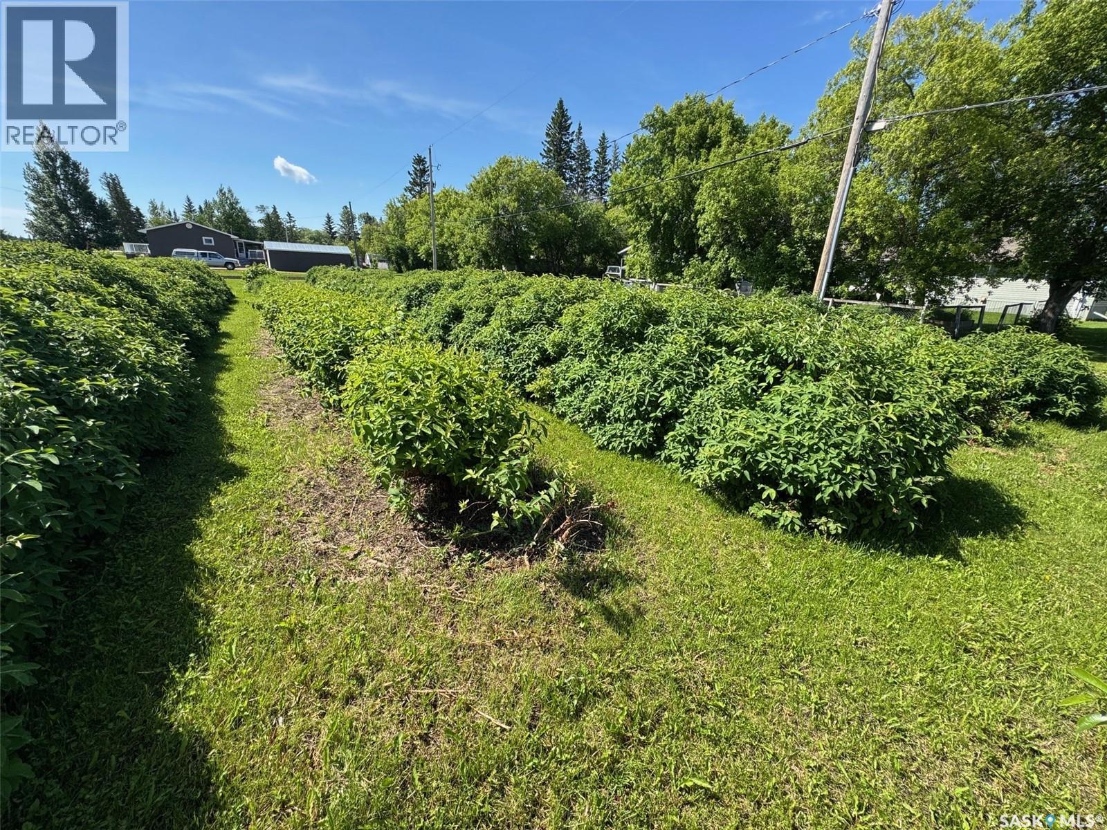 210 35 Hwy S, Archerwill, Saskatchewan  S0E 0B0 - Photo 12 - SK040845