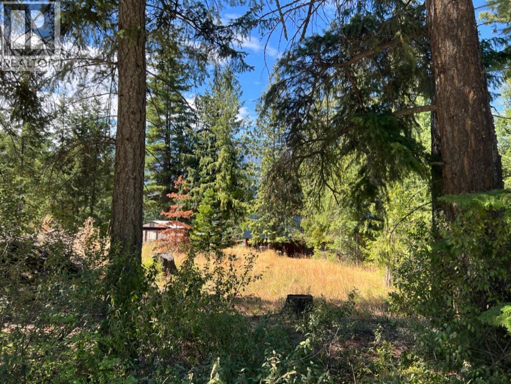 13525 Lafrance Creek Road, Boswell, British Columbia  V0B 1A0 - Photo 6 - 10378834