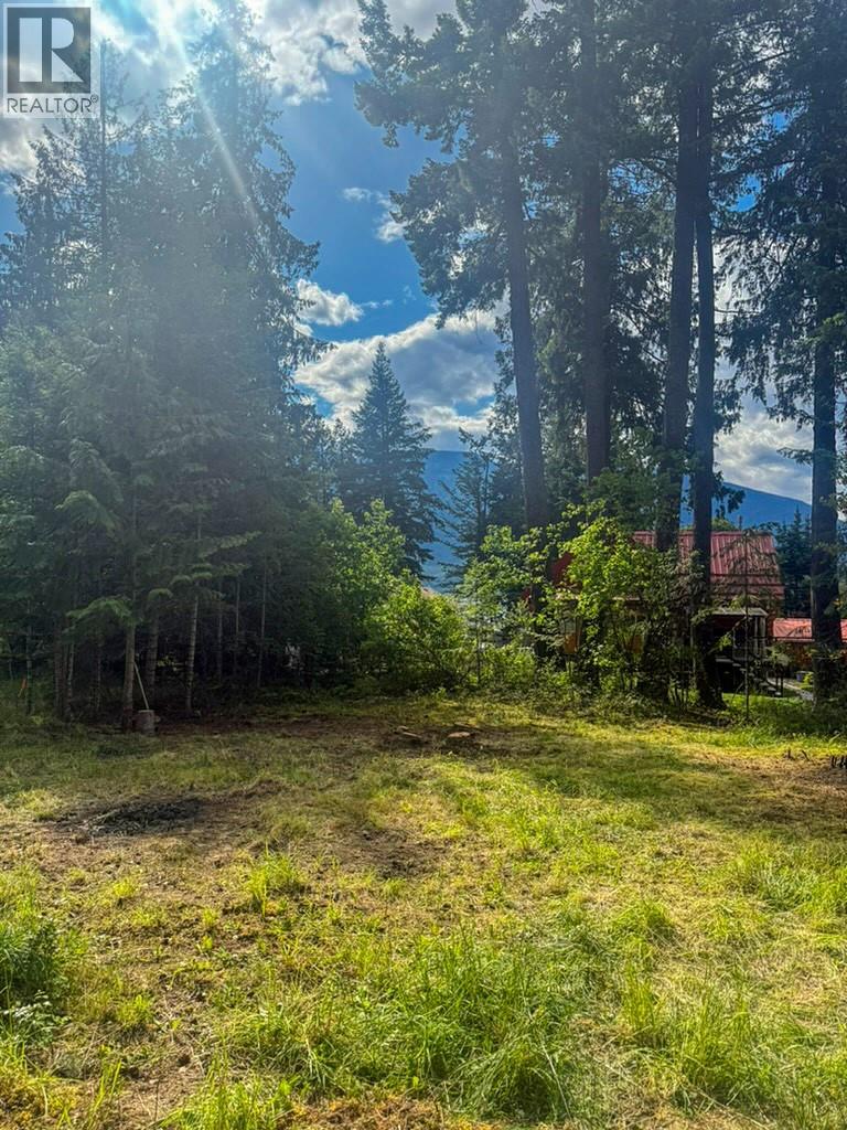 13525 Lafrance Creek Road, Boswell, British Columbia  V0B 1A0 - Photo 7 - 10378834