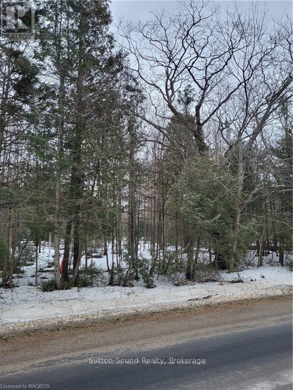 Lot 50 Cape Hurd Road, Northern Bruce Peninsula, Ontario  N0H 2R0 - Photo 10 - X13499506