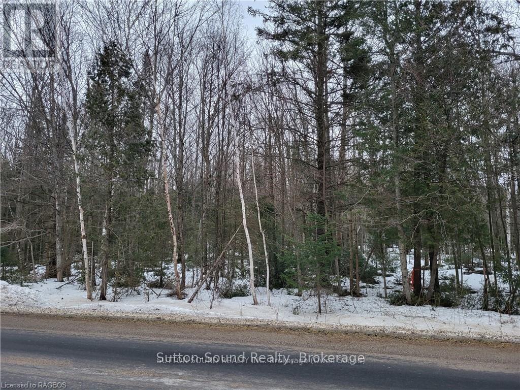 Lot 50 Cape Hurd Road, Northern Bruce Peninsula, Ontario  N0H 2R0 - Photo 8 - X13499506