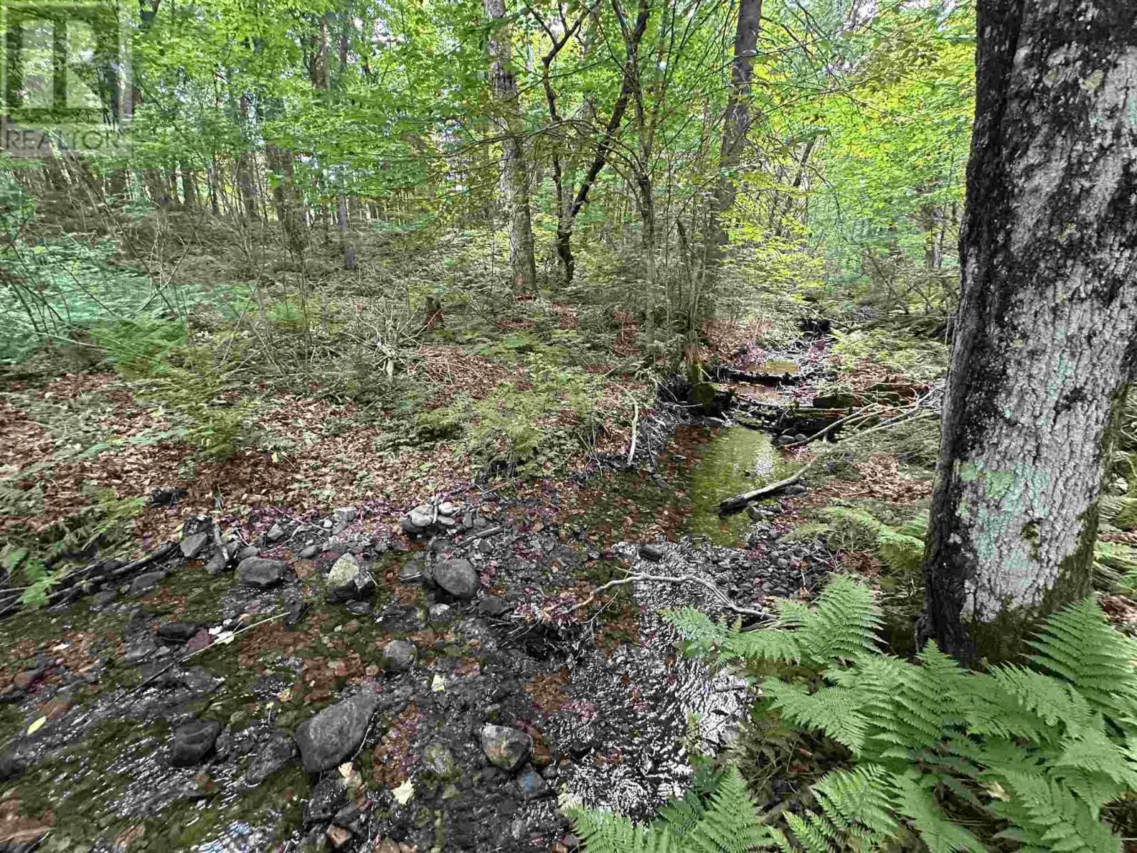 12 Highway 556, 12 Ranger Lake Rd, Searchmont, Ontario  P0S 1J0 - Photo 25 - SM261637