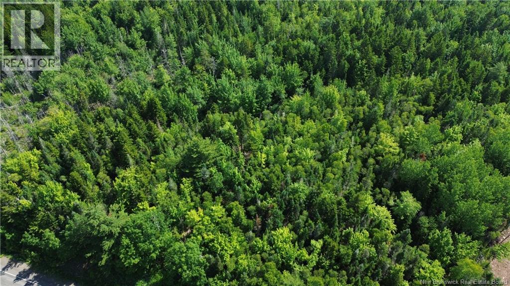 Lot 2022-4 Route 105, Mill Cove, New Brunswick  E4C 3B2 - Photo 8 - NB142923