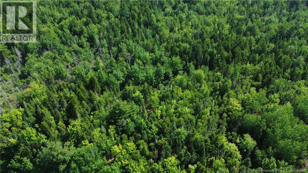 Lot 2022-4 Route 105, Mill Cove, New Brunswick  E4C 3B2 - Photo 9 - NB142923