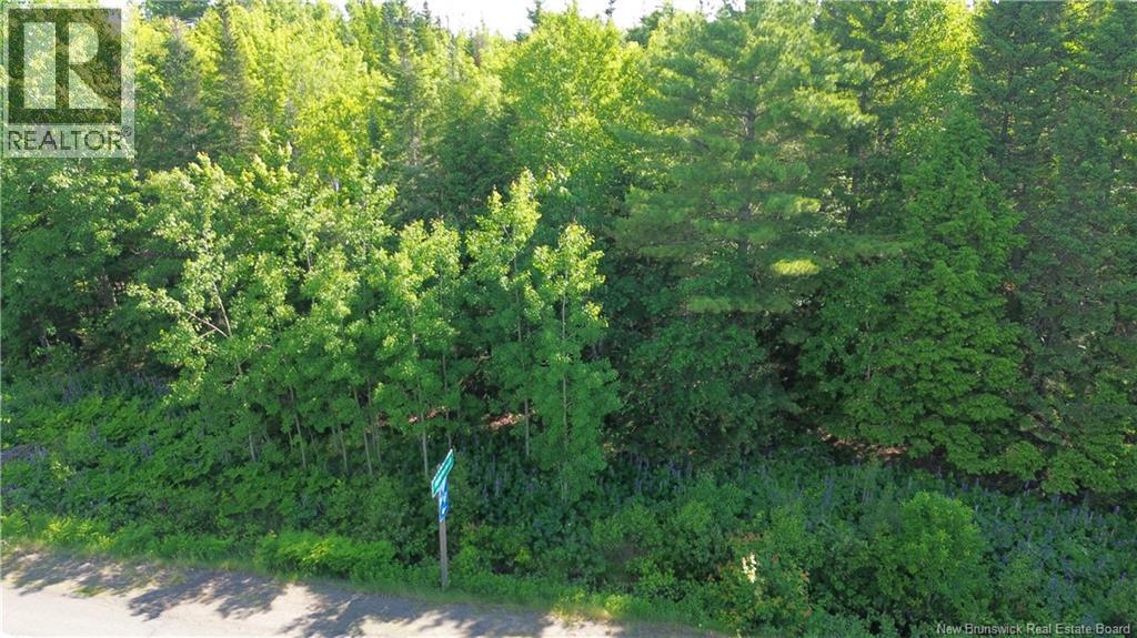 Lot 2022-4 Route 105, Mill Cove, New Brunswick  E4C 3B2 - Photo 10 - NB142923