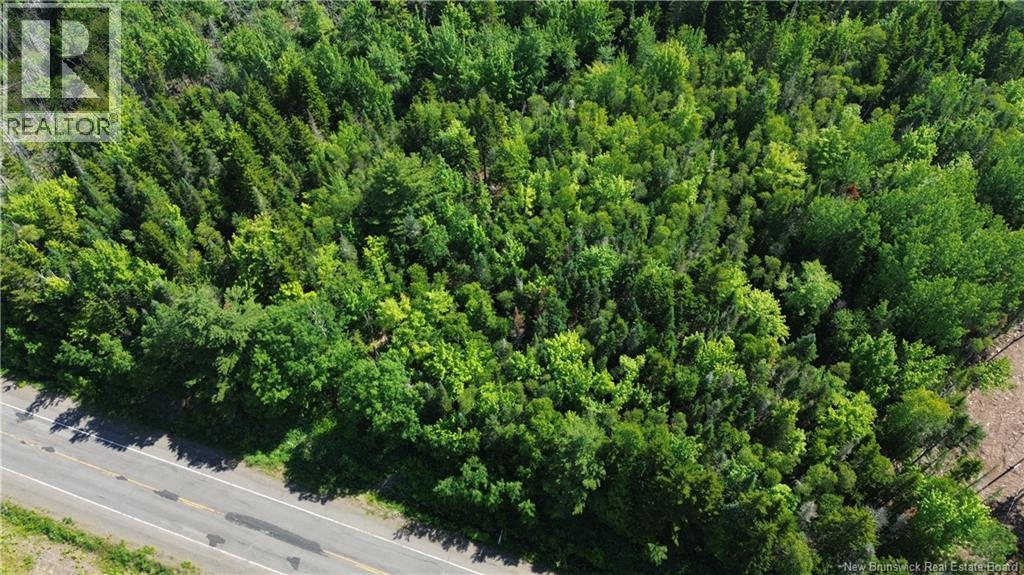 Lot 2022-4 Route 105, Mill Cove, New Brunswick  E4C 3B2 - Photo 5 - NB142923