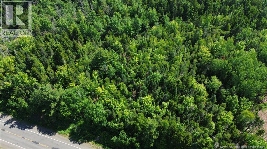 Lot 2022-4 Route 105, Mill Cove, New Brunswick  E4C 3B2 - Photo 7 - NB142923