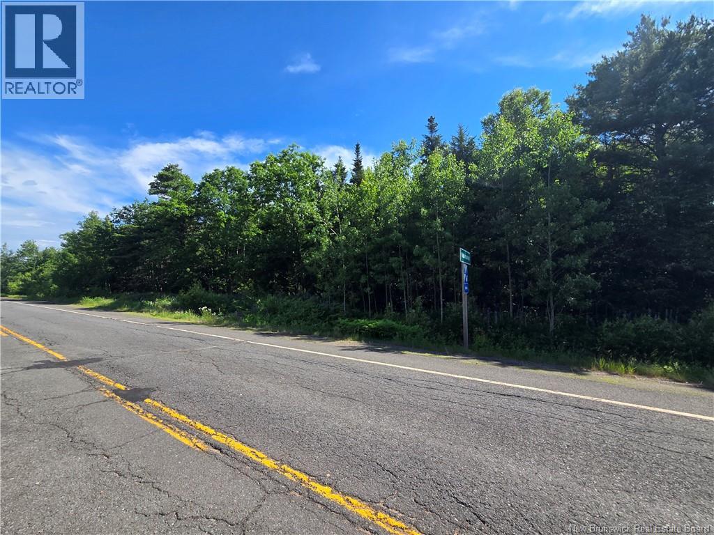 Lot 2022-4 Route 105, Mill Cove, New Brunswick  E4C 3B2 - Photo 11 - NB142923