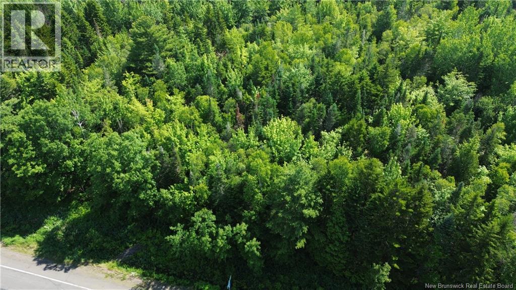 Lot 2022-4 Route 105, Mill Cove, New Brunswick  E4C 3B2 - Photo 6 - NB142923