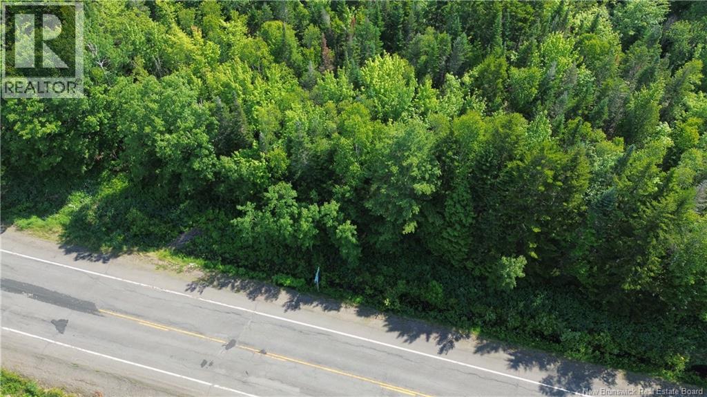 Lot 2022-4 Route 105, Mill Cove, New Brunswick  E4C 3B2 - Photo 4 - NB142923