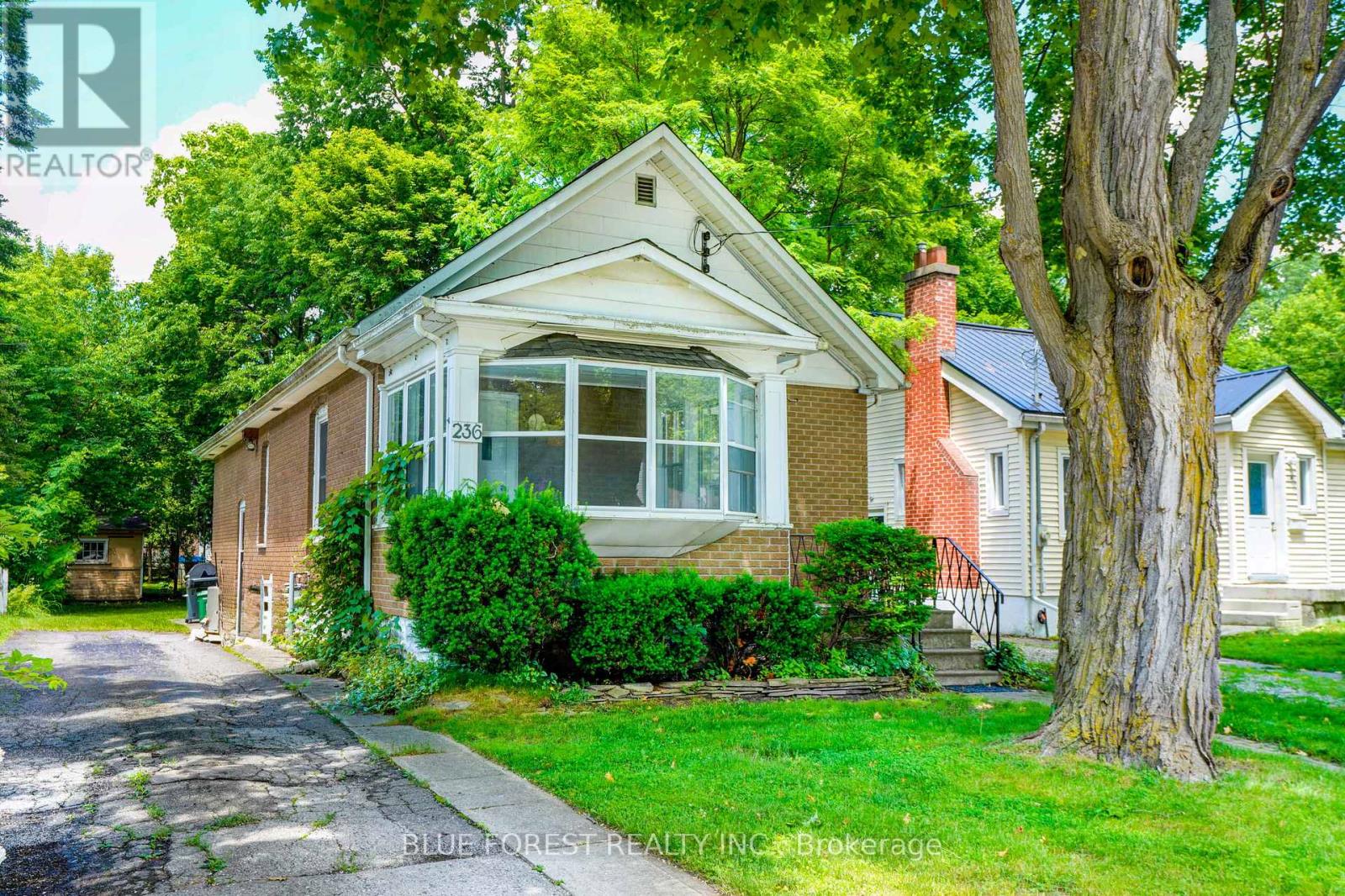236 Bernard Avenue, London East, Ontario  N6A 2M8 - Photo 2 - X13499950