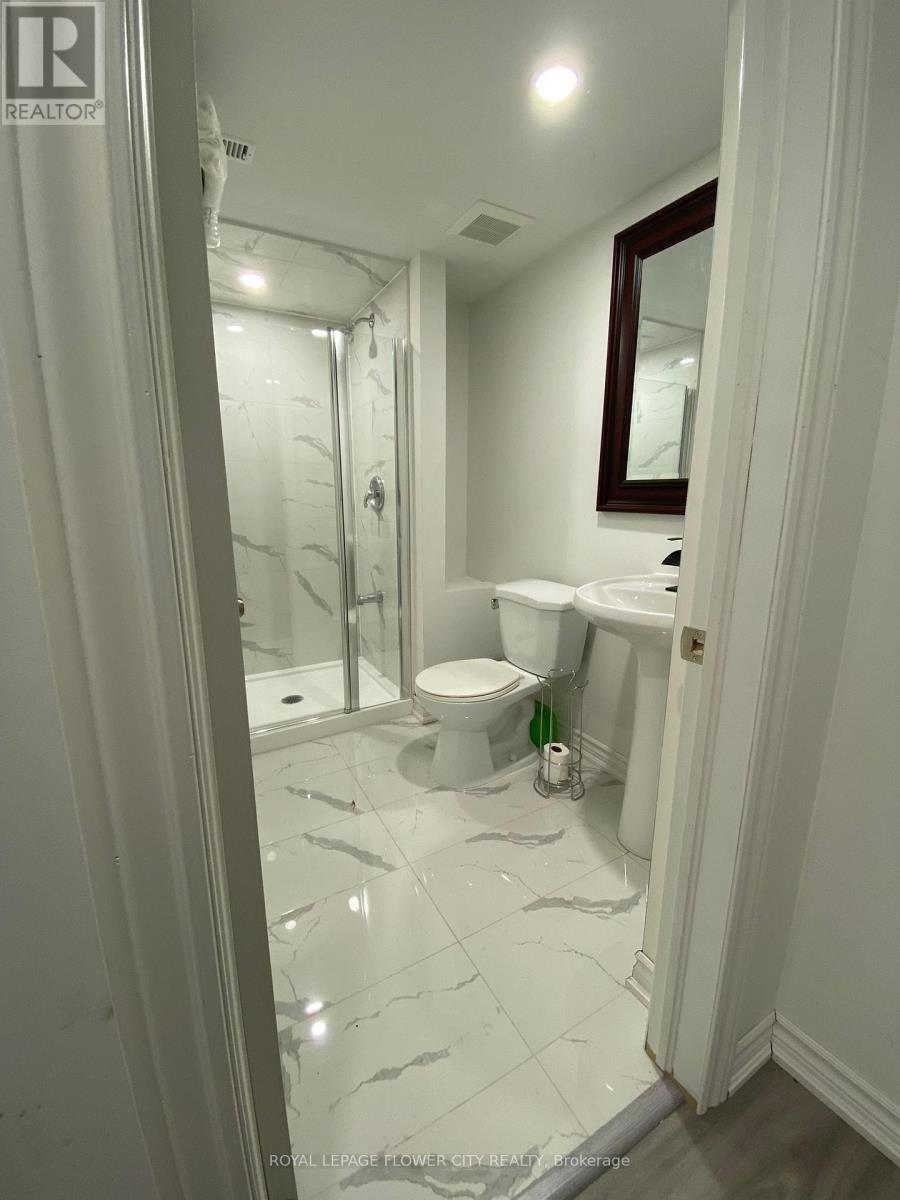 Basement - 29 Marshmarigold Drive, Brampton, Ontario  L7A 2S7 - Photo 10 - W13499844