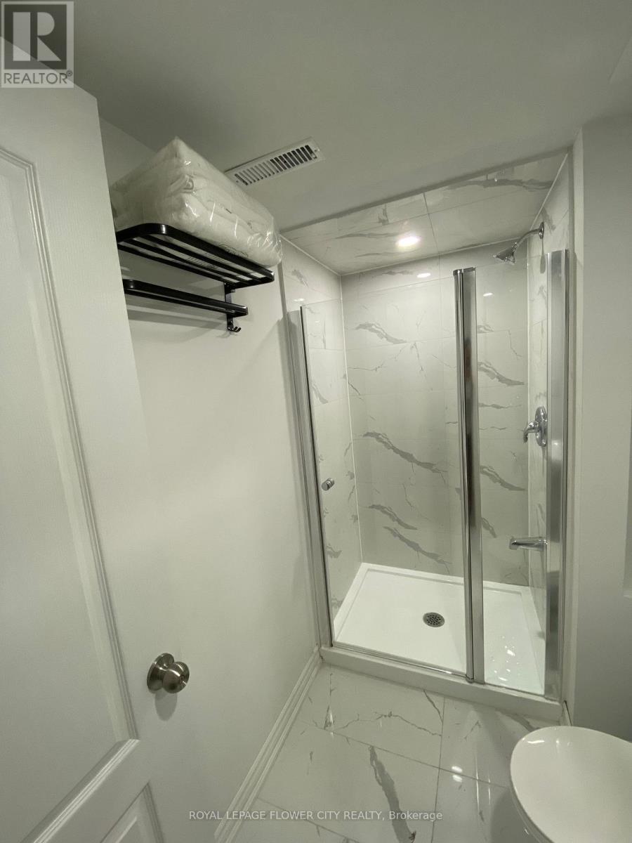 Basement - 29 Marshmarigold Drive, Brampton, Ontario  L7A 2S7 - Photo 11 - W13499844
