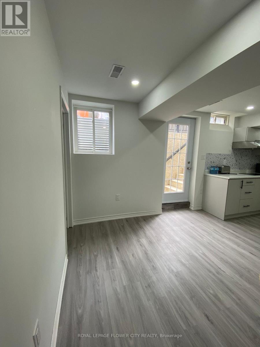 Basement - 29 Marshmarigold Drive, Brampton, Ontario  L7A 2S7 - Photo 3 - W13499844