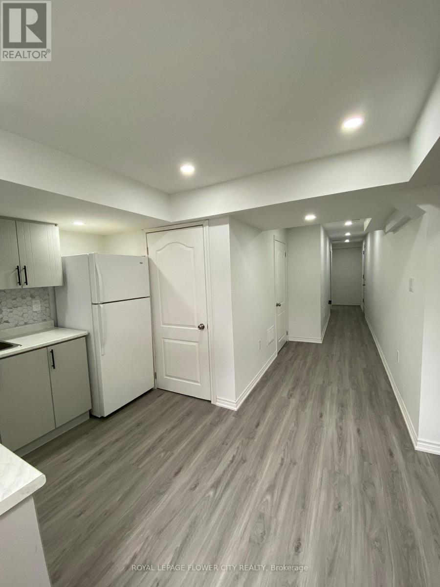 Basement - 29 Marshmarigold Drive, Brampton, Ontario  L7A 2S7 - Photo 5 - W13499844