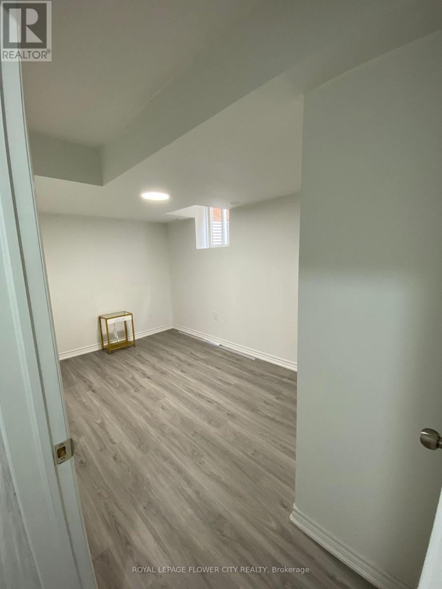 Basement - 29 Marshmarigold Drive, Brampton, Ontario  L7A 2S7 - Photo 9 - W13499844