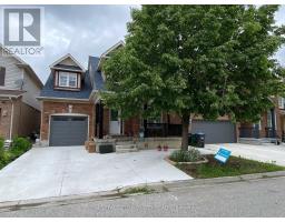 BASEMENT - 29 MARSHMARIGOLD DRIVE, Brampton, Ontario