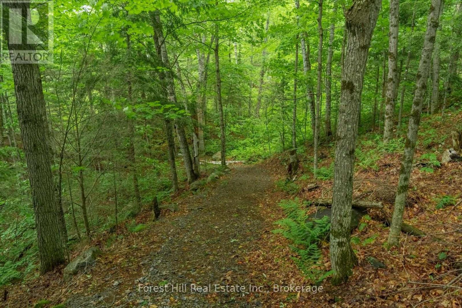 5017 Kawagama Lake Road, Algonquin Highlands, Ontario  P0A 1E0 - Photo 6 - X13496964