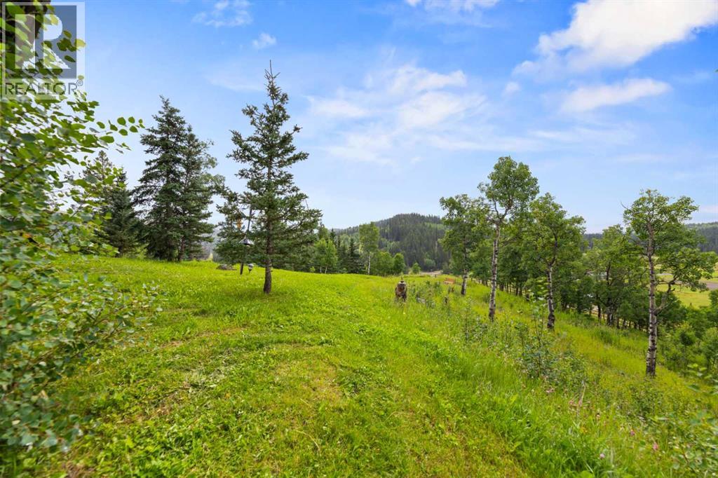 11 Black Bear Lane, Rural Foothills County, Alberta  T0L 0K0 - Photo 35 - A2251872