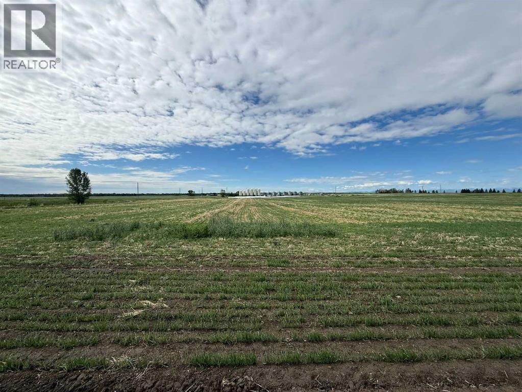 23.26 Acres Along 48 Street E, Rural Foothills County, Alberta  T1V 1M3 - Photo 28 - A2286905