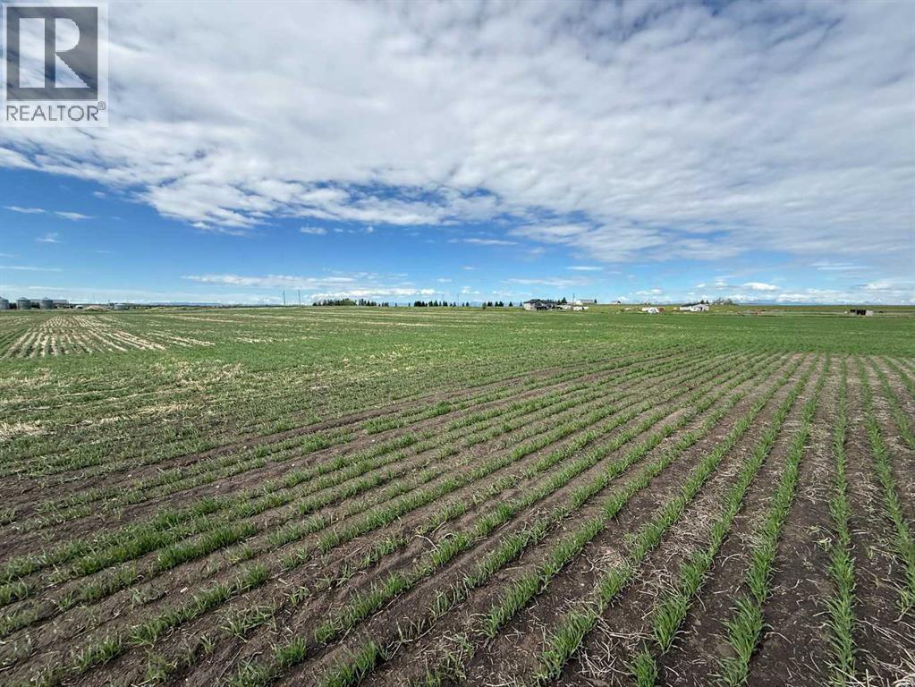 23.26 Acres Along 48 Street E, Rural Foothills County, Alberta  T1V 1M3 - Photo 30 - A2286905