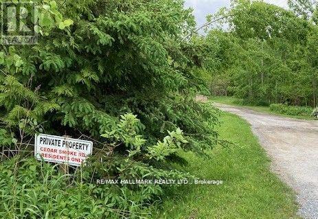 566 Cedar Smoke Road, Georgina Islands, Ontario  L4P 0J7 - Photo 12 - N13500262
