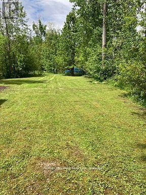 566 Cedar Smoke Road, Georgina Islands, Ontario  L4P 0J7 - Photo 5 - N13500262