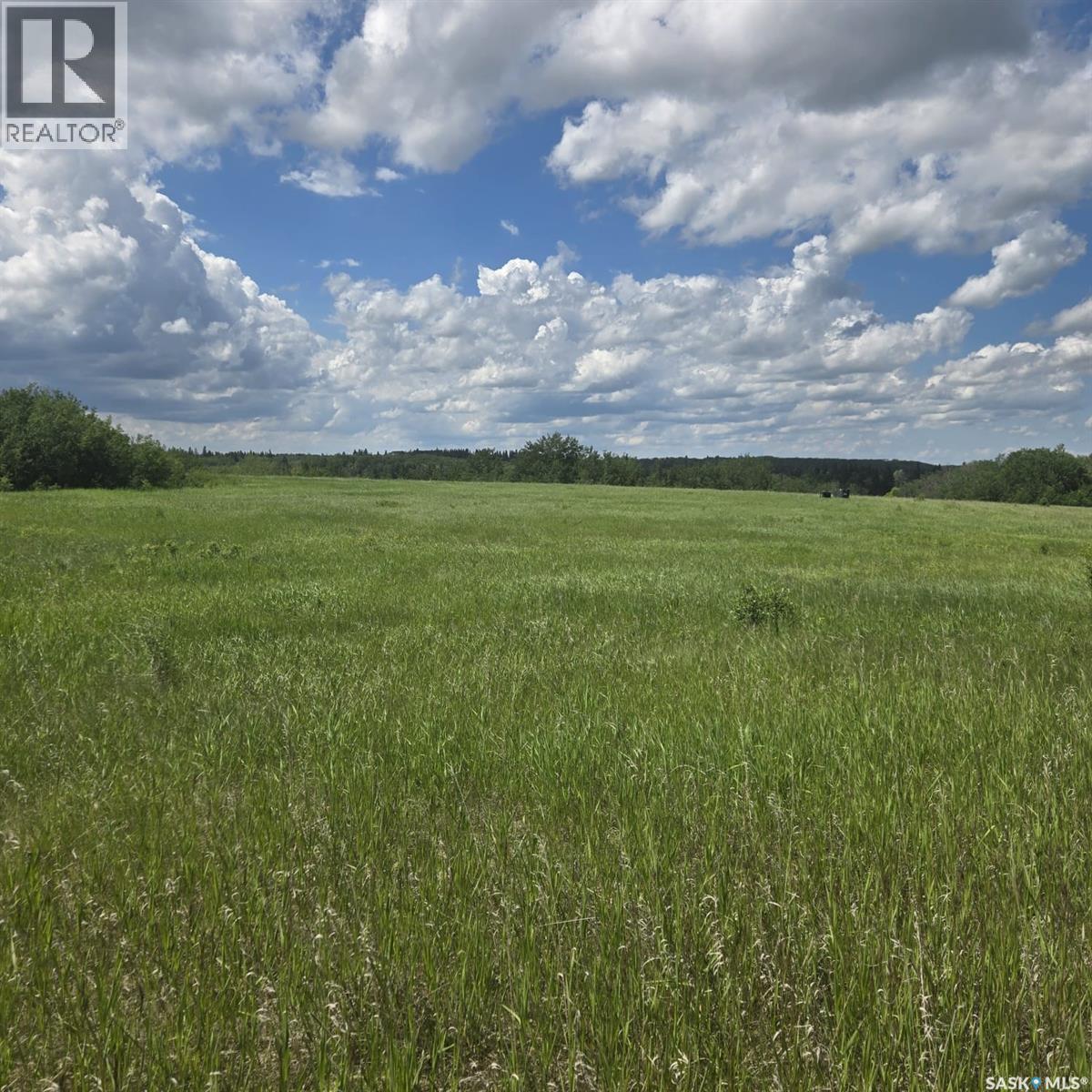 100 Crescent Bay Road, Canwood Rm No. 494, Saskatchewan  S0J 0K0 - Photo 1 - SK040907