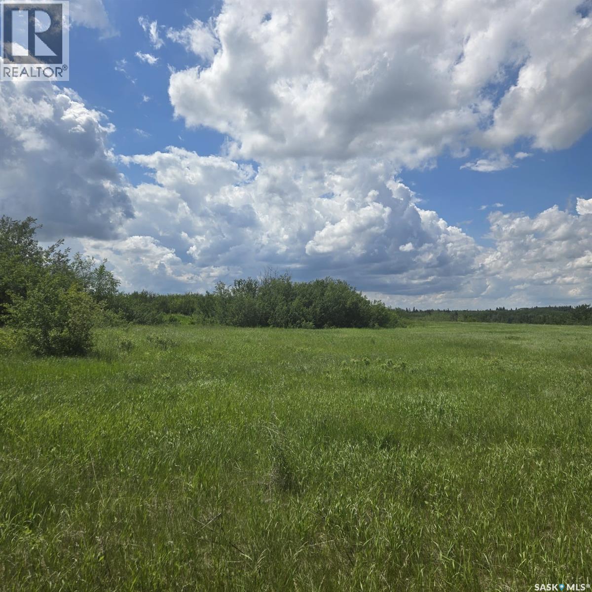 100 Crescent Bay Road, Canwood Rm No. 494, Saskatchewan  S0J 0K0 - Photo 3 - SK040907