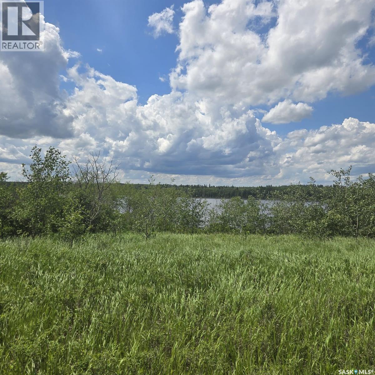 100 Crescent Bay Road, Canwood Rm No. 494, Saskatchewan  S0J 0K0 - Photo 4 - SK040907