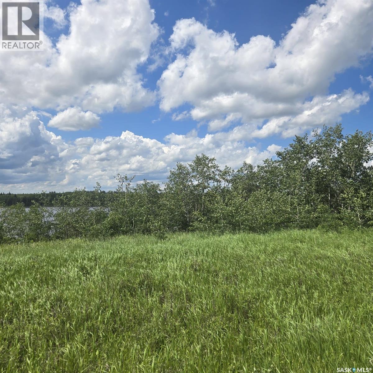 100 Crescent Bay Road, Canwood Rm No. 494, Saskatchewan  S0J 0K0 - Photo 6 - SK040907