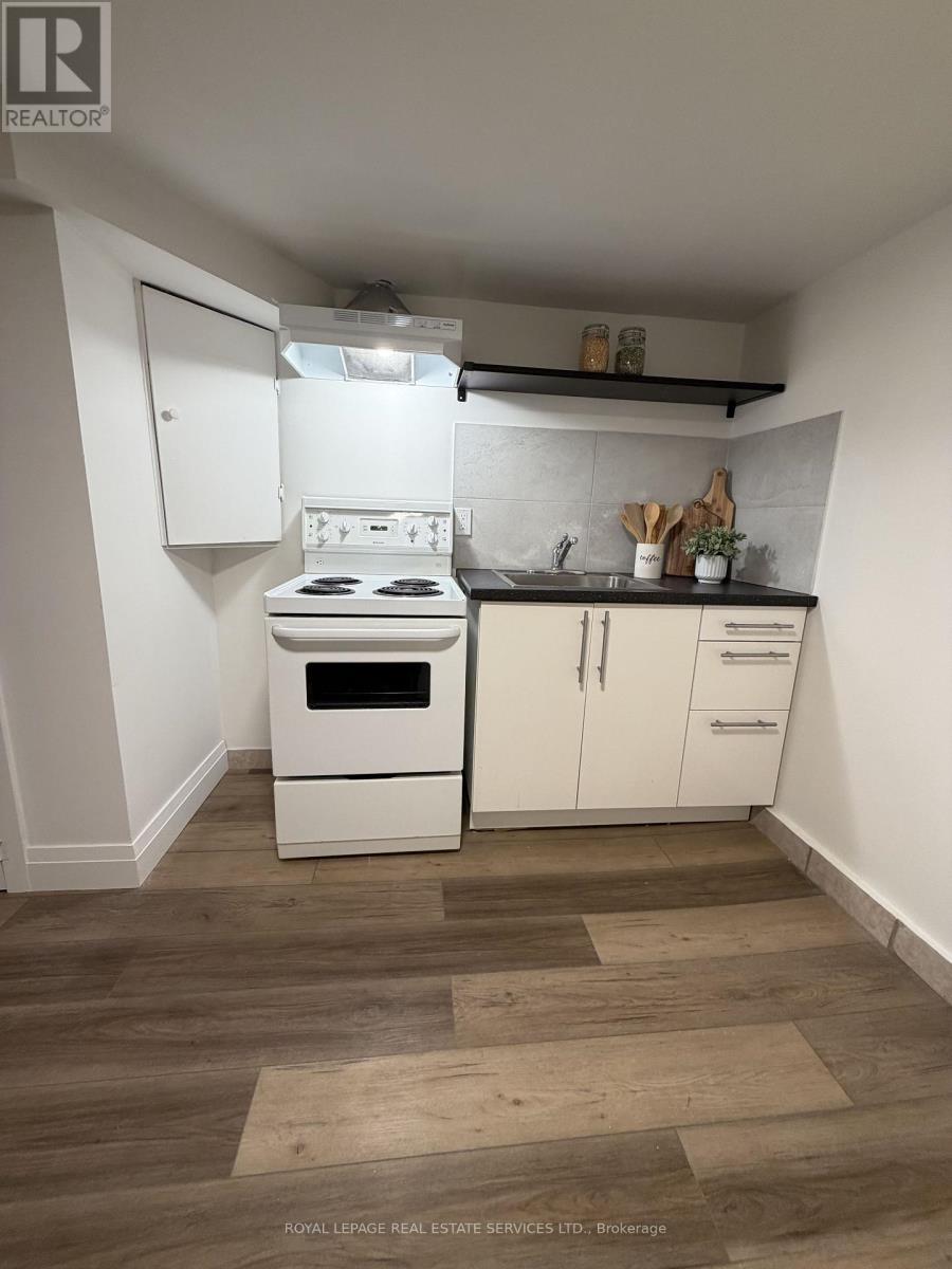 Basement - 71 Vernon Street, Toronto, Ontario  M6P 1S9 - Photo 11 - W13500630