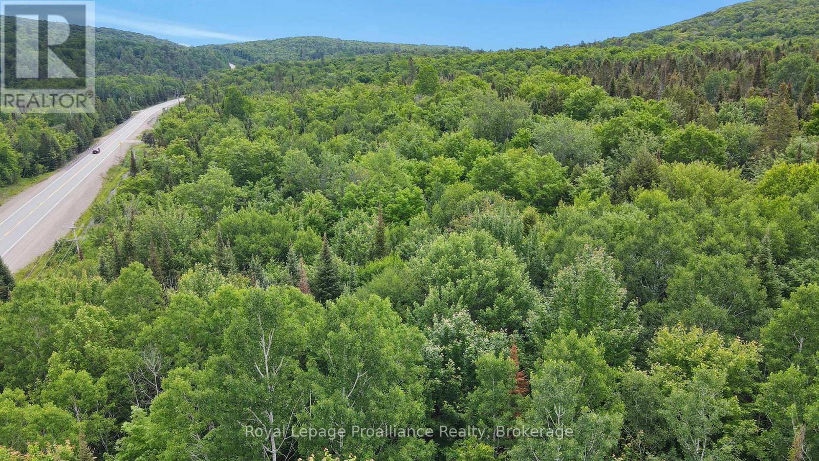 26643 Highway 60, South Algonquin, Ontario  K0J 2C0 - Photo 10 - X13500692