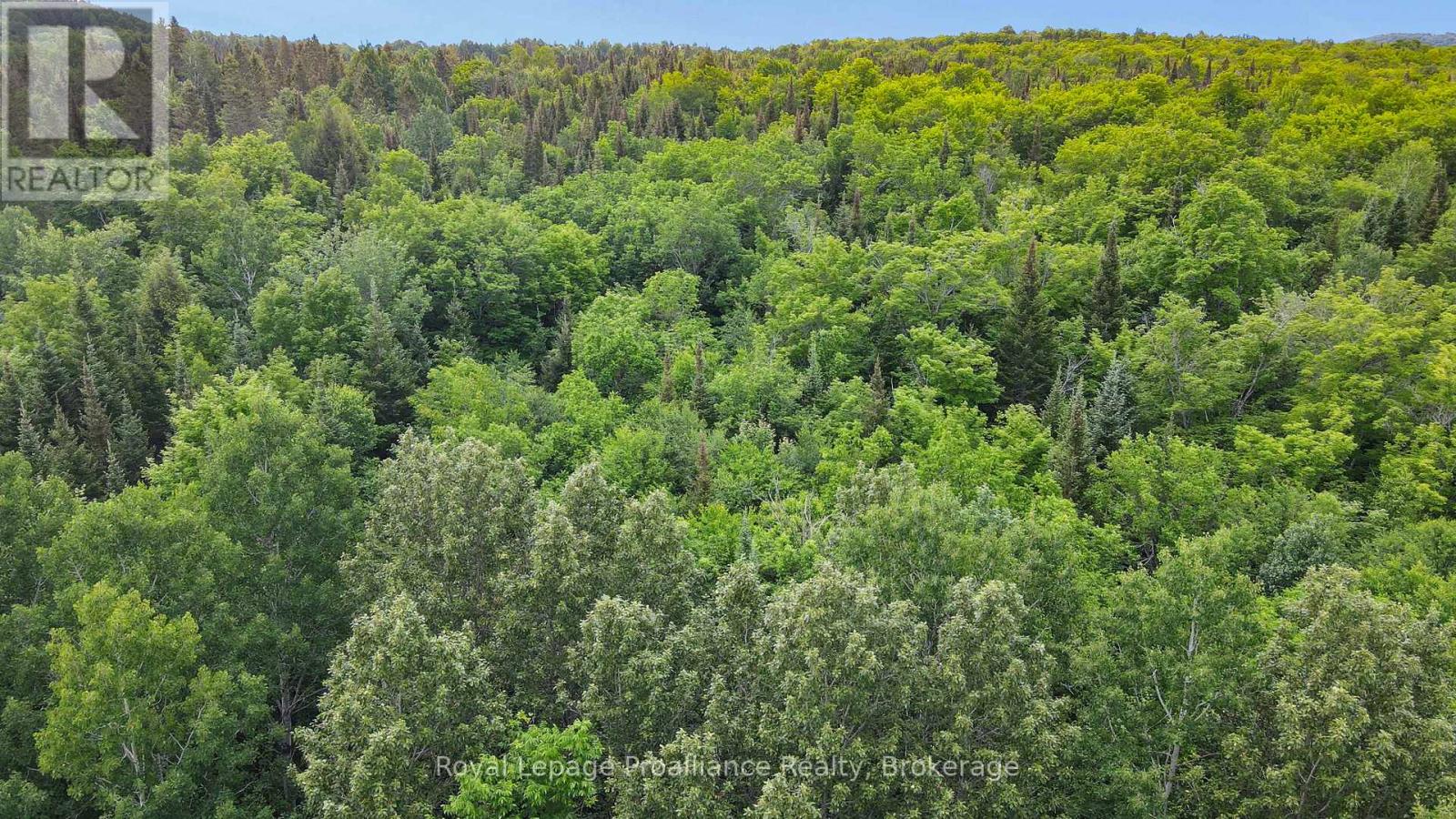 26643 Highway 60, South Algonquin, Ontario  K0J 2C0 - Photo 11 - X13500692