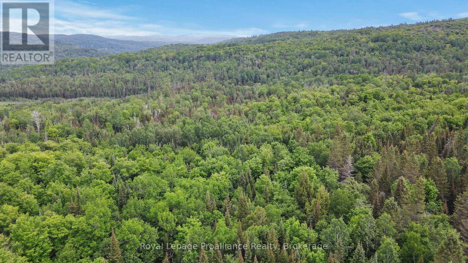 26643 Highway 60, South Algonquin, Ontario  K0J 2C0 - Photo 13 - X13500692