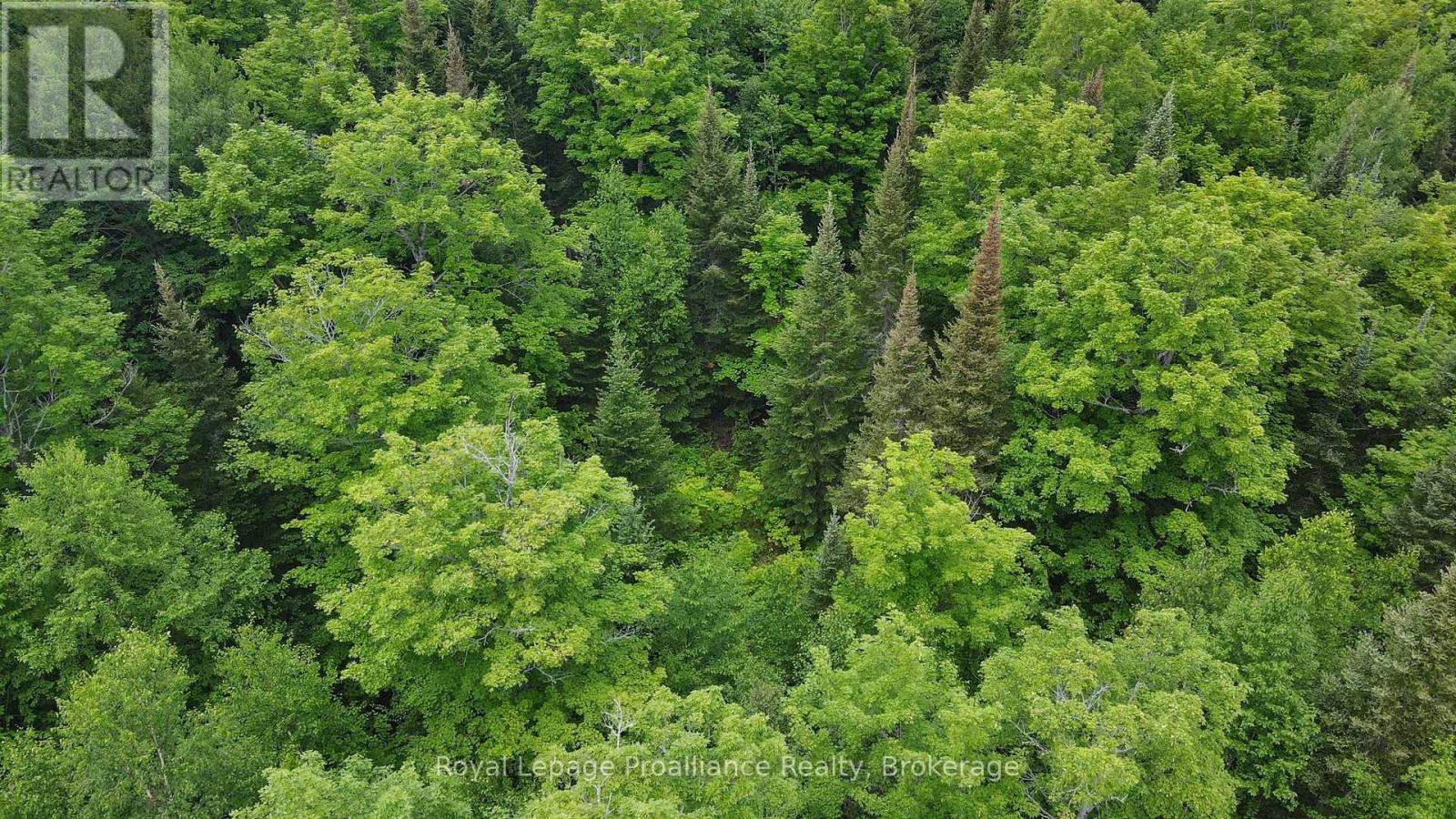 26643 Highway 60, South Algonquin, Ontario  K0J 2C0 - Photo 14 - X13500692