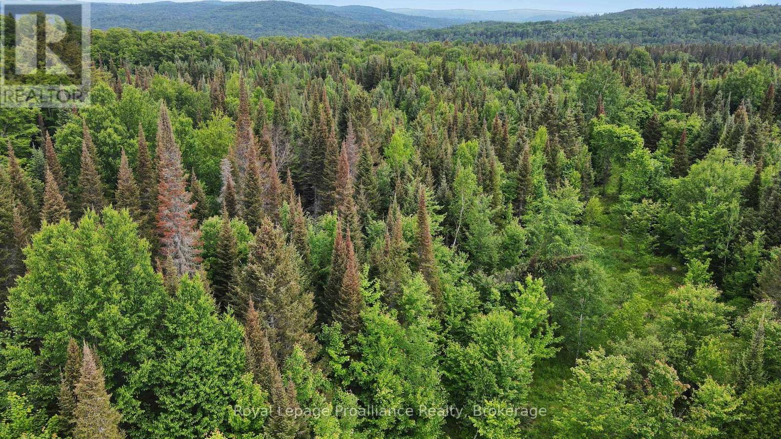 26643 Highway 60, South Algonquin, Ontario  K0J 2C0 - Photo 15 - X13500692
