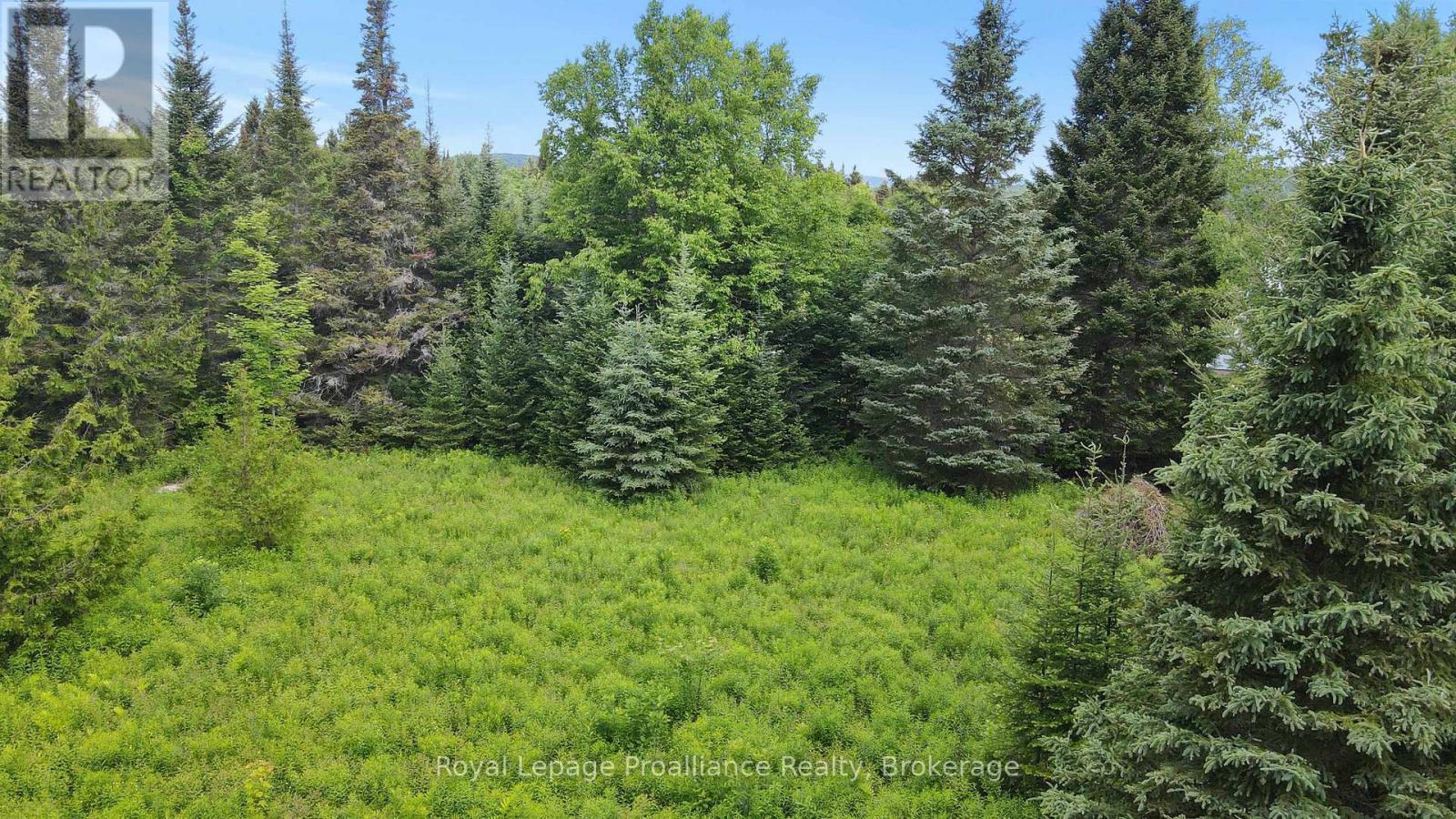 26643 Highway 60, South Algonquin, Ontario  K0J 2C0 - Photo 16 - X13500692